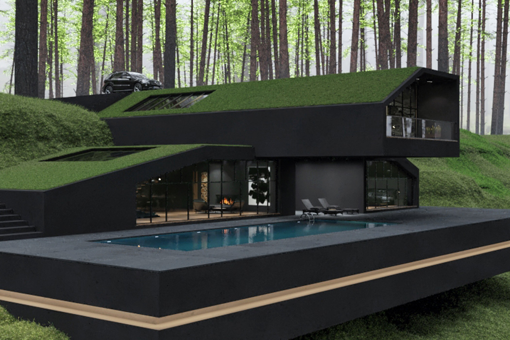 green roof house