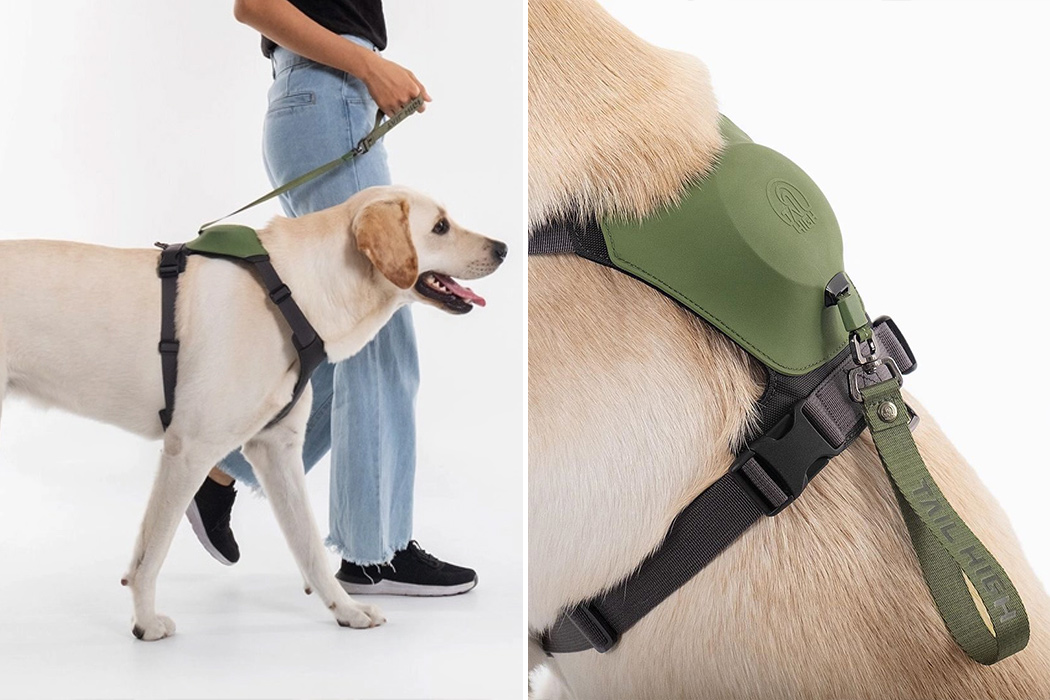 dog harness with built in leash