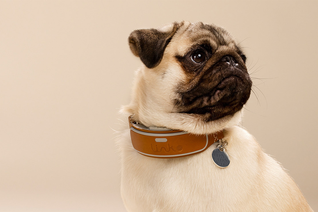 This Fitbit-inspired dog is point with your pet safe and healthy! - Yanko Design