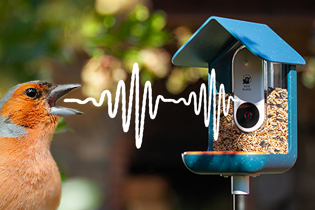 bird feeder with camera