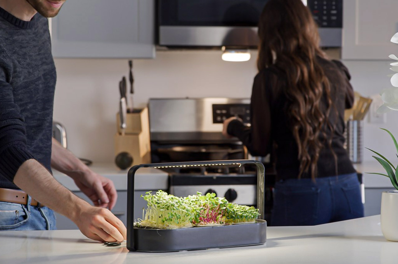 Smart Kitchen Appliances that will transform you from a home cook