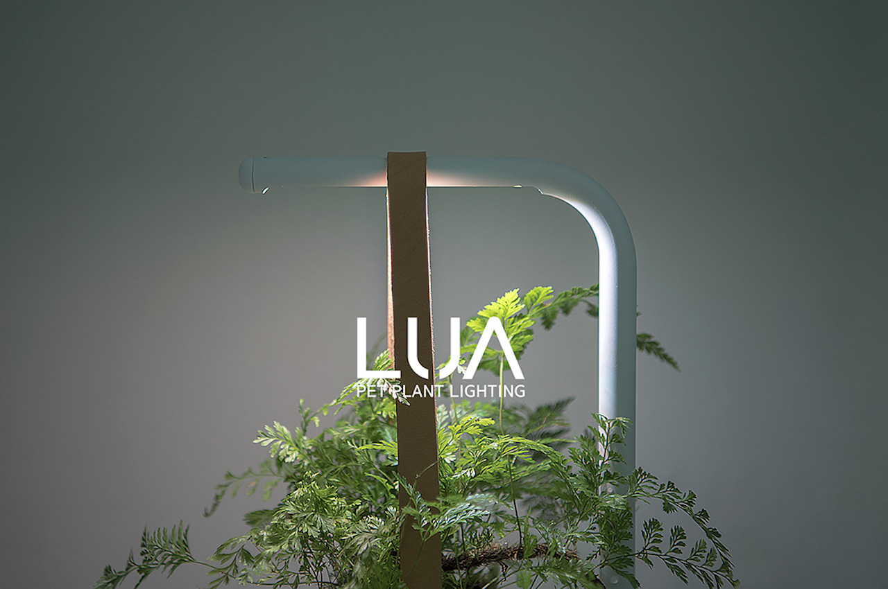 #LUA Pet Plant Lighting is perfect for your indoor plants