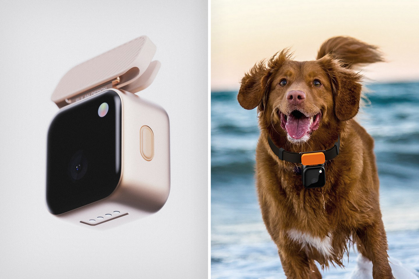 #Action camera for your pet comes with built-in clip that fixes onto any collar