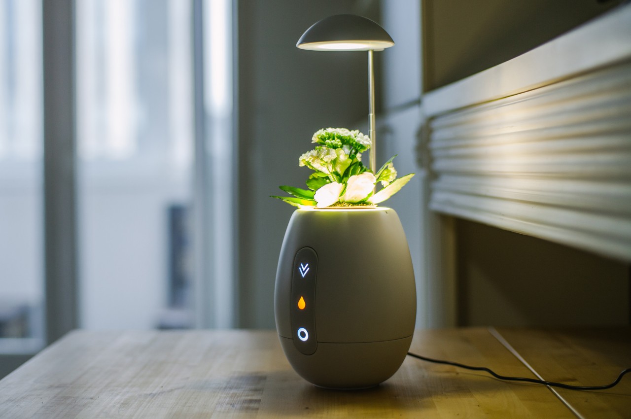 https://www.yankodesign.com/images/design_news/2022/11/this-self-sufficient-plant-pot-is-also-a-beautiful-desk-light-and-decoration/vivo-pot-2.jpg
