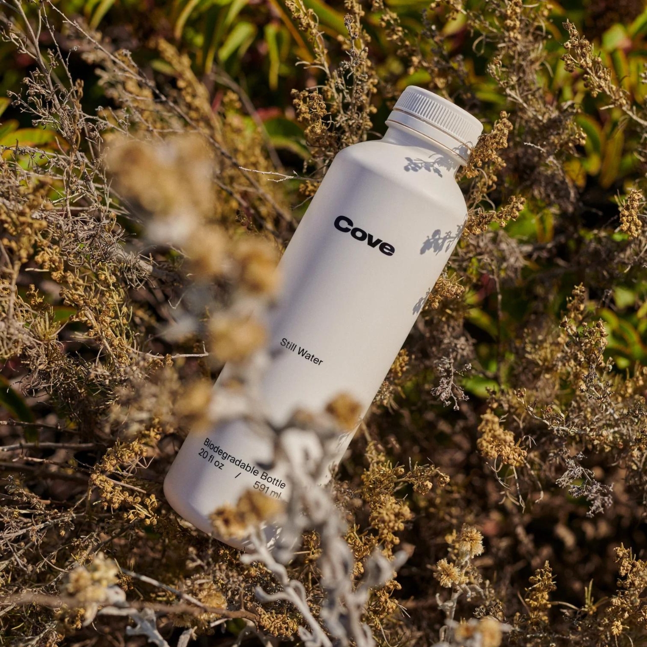 This new biodegradable plastic-free water bottle degrades in just three  weeks