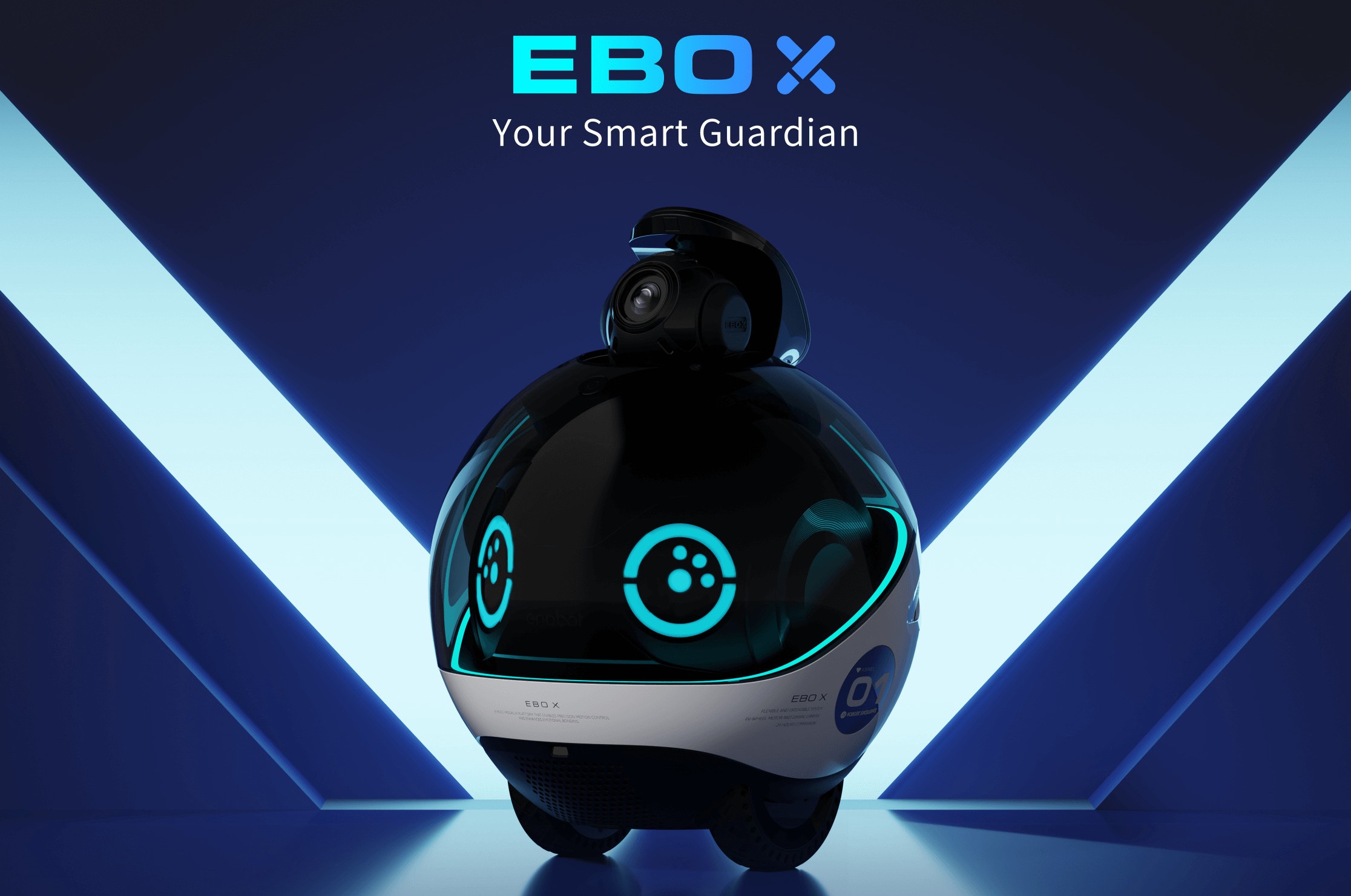 Enabot EBO X review