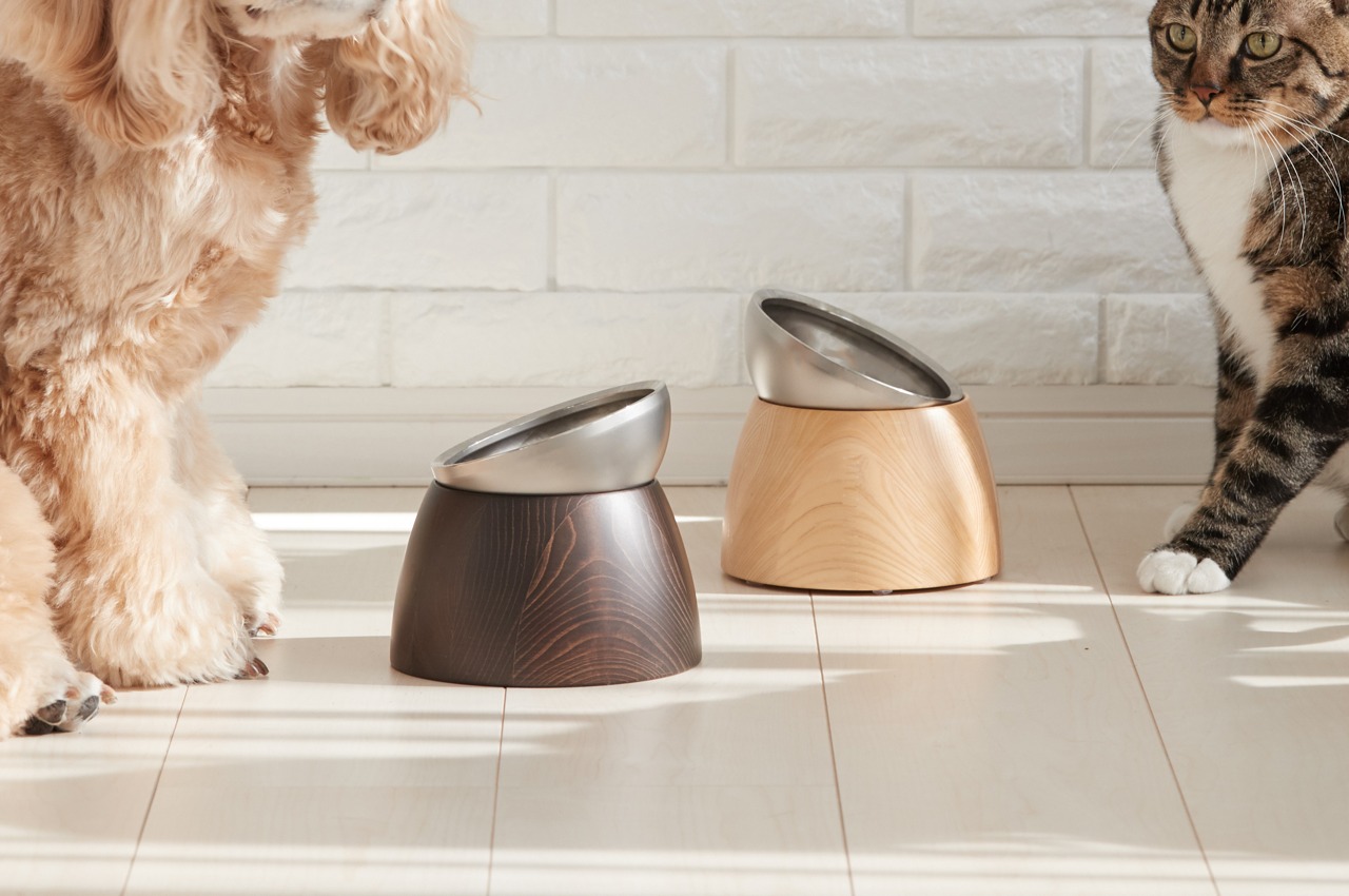 #20 degree tilt pet bowl keeps food from pouring out