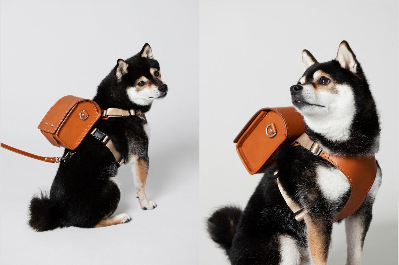 This Poop Purse Is for Stylish Dog Owners