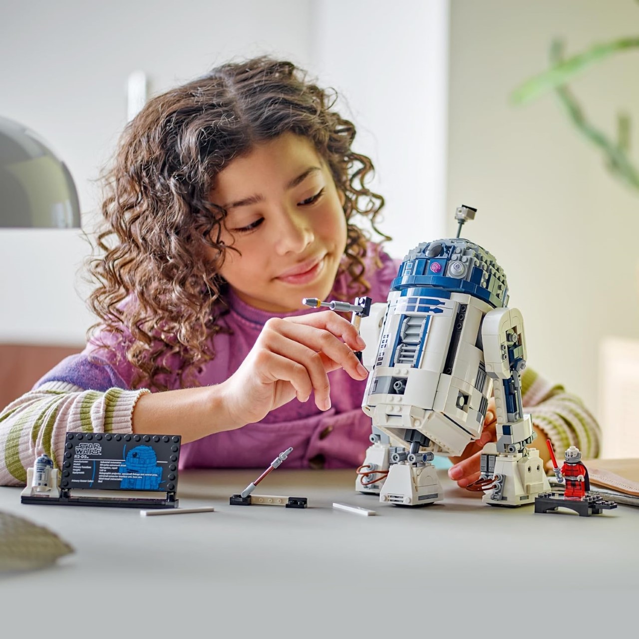 LEGO Star Wars R2-D2 Set 75308 - US