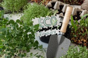 10 Proven Tips for Creating a Sustainable and Eco-Friendly Garden