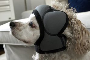 Pet getting scared of 4th July fireworks? These quirky yet effective Dog Headphones with ANC can help