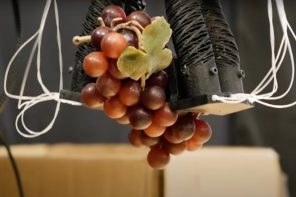 RoboGrocery is the first step towards robots packing our grocery