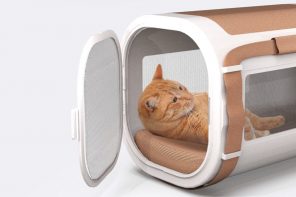 Eco-Friendly Cat Shelter Makes Traveling With Your Pets Easy And Comfortable