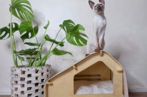 Stylish Pet Retreat: Rawry’s Luxe Cabin Blends Comfort and Minimalist Design