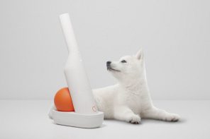 This Compact Vacuum Cleaner Keeps The Homes Of Pet Owners Clean With Ease