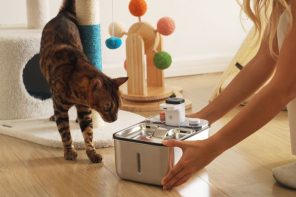 This Quiet, Smart, Eco-Friendly Cat Fountain Will Keep Your Pet Hydrated And Happy At All Times