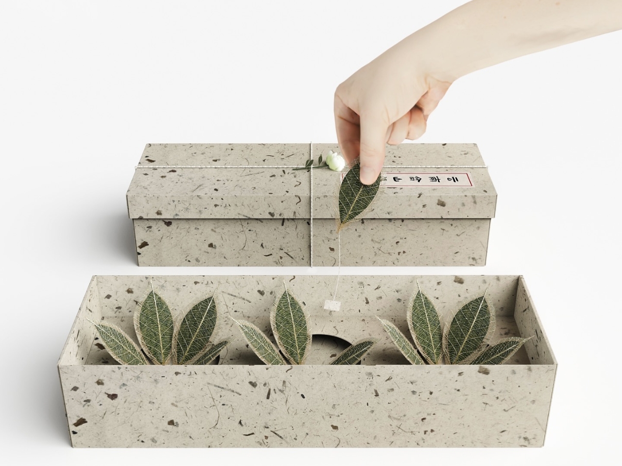 Leaf Vein Tea gives you biodegradable packaging for tea leaves