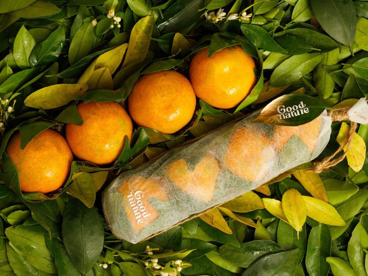 Biodegradable Packaging Made from Fallen Orange Leaves Reimagines Waste As Raw Material